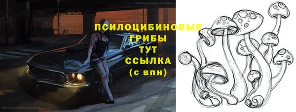 mix Касимов