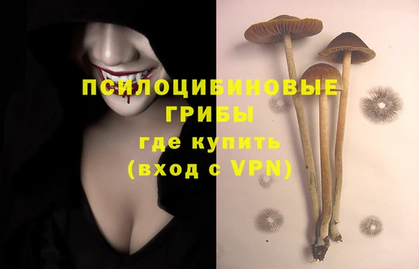 apvp Карталы