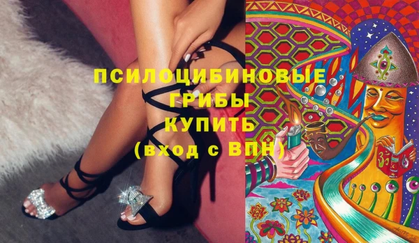 apvp Карталы