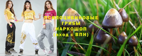 apvp Карталы