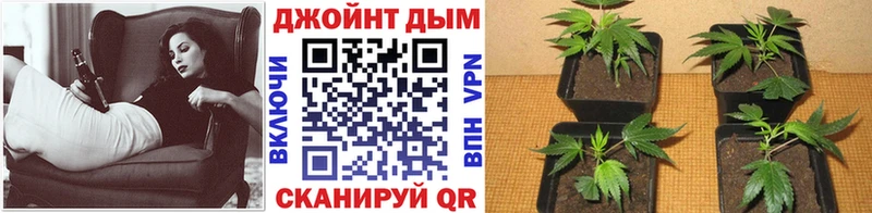 Купить где  Ермолино  Марихуана OG Kush 